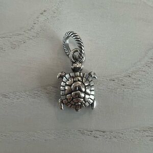 Brighton Turtle Charm